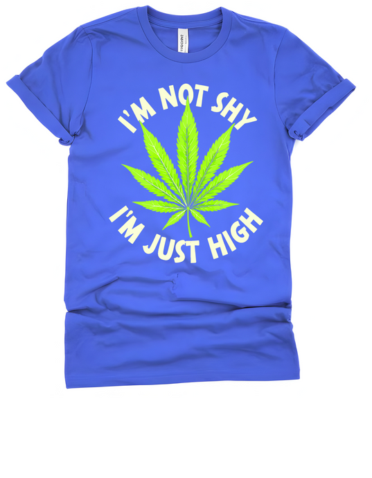 I'm Not Shy I'm Just High