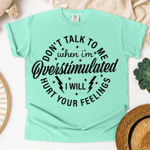 Don’t Talk to Me When I’m Overstimulated